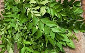 Benefits of Curry Leaf for Hair